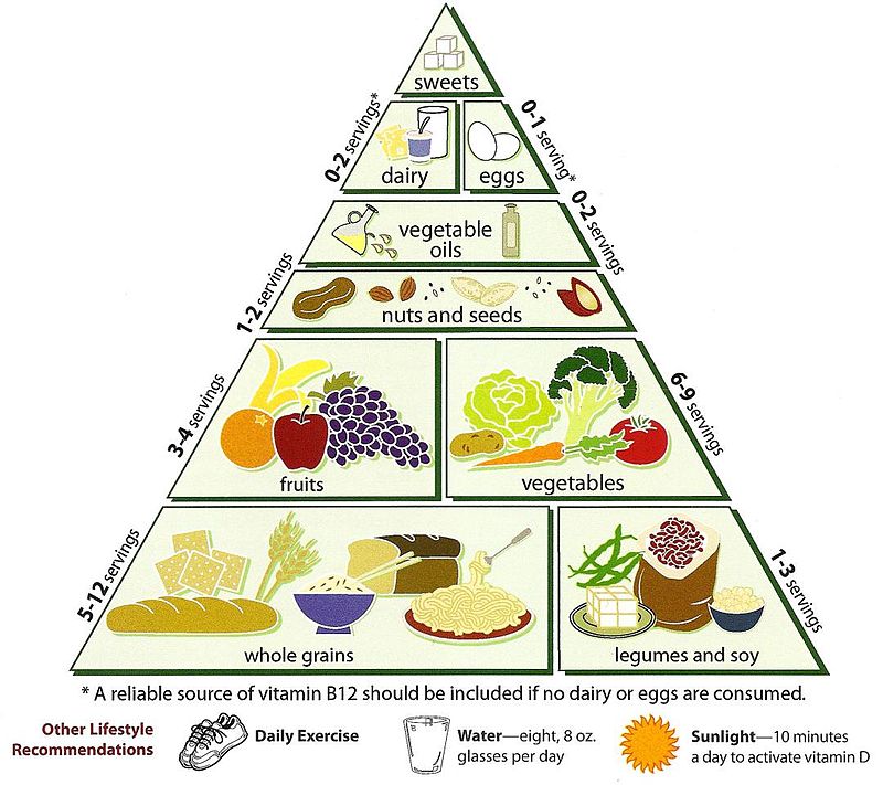 Usda Food Pyramid Alternatives